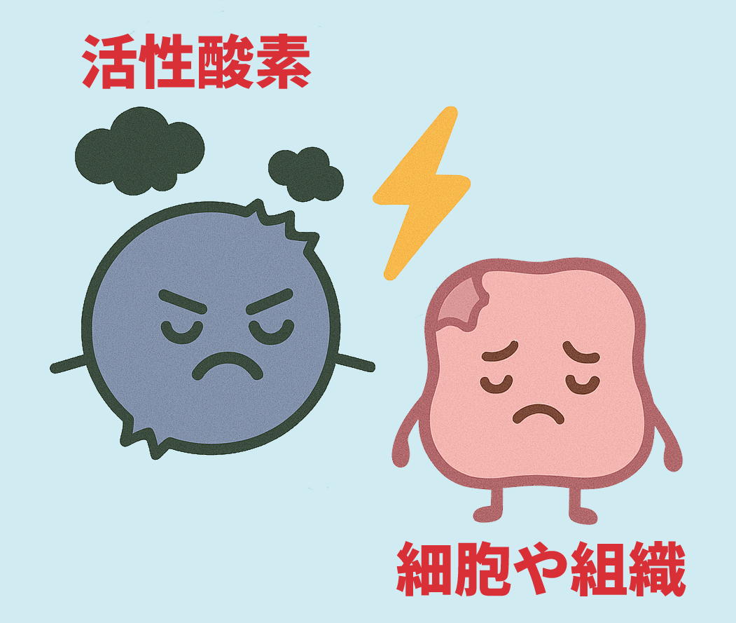 活性酸素のイメージ